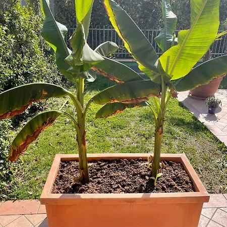 Aparthotel Ferretti Garda Palace