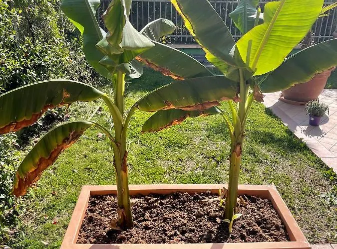 Apartmanhotel Ferretti Garda Palace