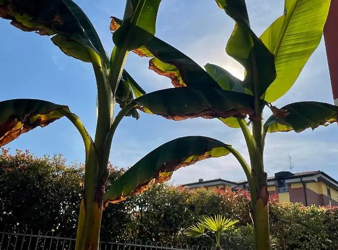 Apartmanhotel Ferretti Garda Palace 4*